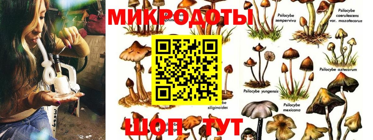 Клин  Псилоцибиновые грибы Psilocybe  купить закладку  Вход с VPN 