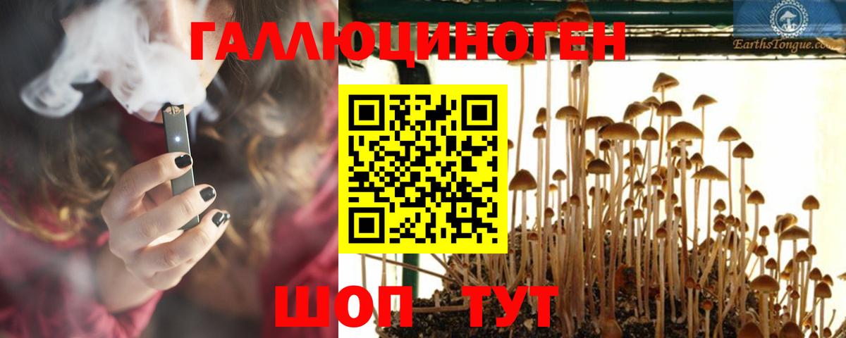 Псилоцибиновые грибы Psilocybe Клин